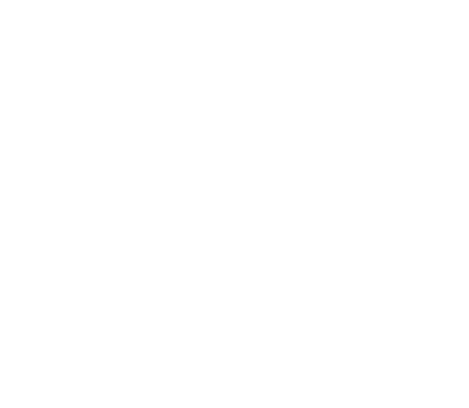 Finaccess